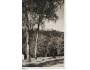 HUKVALDY HRAD /r.1950 /M353-191