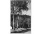 HUKVALDY HRAD /r.1938/M353-222