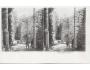 ADRŠPACH /STEREO /r.1920?/ M391-23