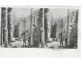 ADRŠPACH /STEREO /r.1920?/ M391-24
