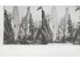 ADRŠPACH /STEREO /r.1920?/ M391-25