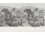 PRACHATICE /STEREO /r.1920?/ M391-28
