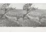 STADICE /STEREO /r.1920?/ M391-30