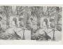 ADRŠPACH /STEREO /r.1920?/ M391-37