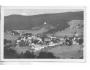ŽELEZNÁ RUDA-ŠUMAVA /r.1948 / M391-100