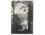 ČERVENÝ KOSTELEC 15x10 formát /r.1930 / M391-104