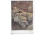 ALFONS MUCHA /r.1920 / M391-120