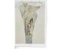 ALFONS MUCHA /r.1920 / M391-139