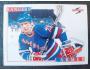 Shaun Van Allen 1996-97 Mighty Ducks of Anaheim, Score 227