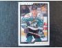Shaun Van Allen 1996-97 Mighty Ducks of Anaheim, Score 227