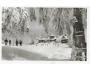 PUSTEVNY /BESKYDY / r.1948 /M404-231