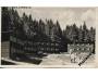 VEŘOVICE-PADOLÍ-PIO.TÁBOR / r.1950 /M404-20