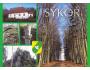 186. vrch SÝKOŘ