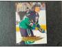 Denny Lambert 1995-96 Anaheim Mighty Ducks, Fleer Ultra č. 4