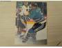 Vyacheslav Butsayev 1994/95 Hartford Whalers, Parkhurst 100
