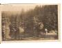 JEZÍRKO POD BOUBÍNEM/ / ŠUMAVA /r.1928?*ba167
