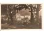 FRÝVALDOV / JESENÍKY /rok1947?*o-678
