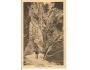 TEPLICE NAD METUJÍ = SKÁLY /rok1922?*OA265