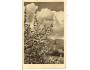 TURČIANSKÝ SV.MARTIN /rok1950?*OB=574