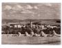 Bílovec okr. Nový Jičín °11843