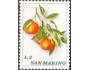San Marino 1973 Granátová jablka, Michel č.1032 **