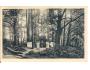 KONOPIŠTĚ - BOŽÍ MUKA /rok1928*OB696