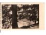 RYBNÍK MEDLOV = VYSOČINA=NOVÉ MĚSTO /rok1940?*ca1888