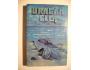 John D. MacDonald - Uragán Ella (Florida, drsná realita)