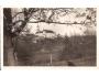 NOVÉ MĚSTO NAD METUJÍ /rok1939?*ca1894