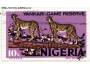 Nigerie o Mi.279 Fauna - gepardi