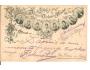 ŽENY = ORCHESTR = HUDBA /rok1899?*AA5075