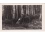 ŠUMAVA PRALES POD BOUBÍNEM NÁKL. POSPÍCHAL r.1935 ***54052I