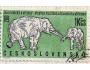 ČS o Pof.1250 Fauna v ZOO - sloni