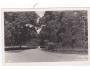 Loučeň č.70 foto Zahrádka r.1939 okr. Nymburk ***51993