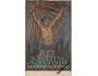 OSTRAVA SOKOLSKÝ SLET/mal.HOPLÍČEK /rok1922?*fb2549