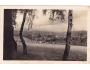 KRNOV =rok1947?*BE8736