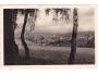 KRNOV =rok1948?*BE8737
