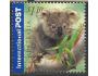 Austrálie o Mi.2157 Gratulační - fauna - koala