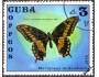 Kuba 1972 Motýl, Michel č.1804 raz.