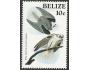 Belize 1985 č.750, luniak