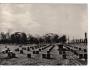 TEREZÍN - HŘBITOV U KREMATORIA - ORBIS °40155