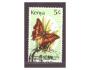 Kenya - motýl,   hmyz