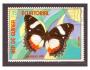 Rovníková Guinea - motýl,   hmyz