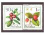 Polsko - ovoce