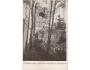 ZUBRŠTÝN HRAD ZŘÍCENINA r.1907 BEZ NAKL. °HB821