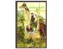 Kongo - osobnost,  Albert Schweitzer, žirafa, opice
