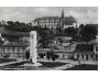 LEVICE /r.1950 /M355-48
