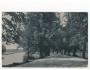 České Budějovice,Malše s voraři,prošlá r.1910.SV4/50
