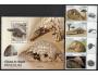 Angola-pangolin-2255/58+blok 216 **