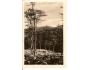 ROZHLEDNA-DOMAŽLICKO / ŠUMAVA /r.1938?*AI=431